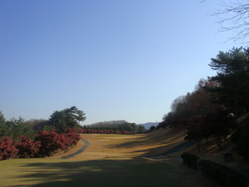 北武蔵カントリークラブ　赤い花の景色